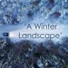 Download track No. 18 In D Major Molto Vivace (Arr. For Piano Duet)
