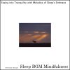 Download track Hormonal Balance Waves Cascading With Aromas Of Freedom