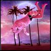 Download track Circus Dreams (Lo-Fi Remix)