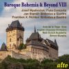 Download track Flute Concerto In D Major: II. Andante Mezza Voce