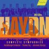 Download track 7. III. Menuetto. Allegretto