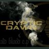 Download track Old Blood