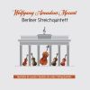 Download track String Quintet No. 4 In G Minor KV516: IV. Adagio. Allegro