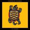 Download track Snapping Turtle