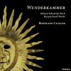 Download track 22. Das Wohltemperierte Klavier I Prelude And Fugue In C-Sharp Minor, BWV 849 II. Fugue
