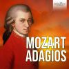 Download track Divertimento In D Major, K. 334: IV. Adagio