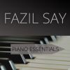 Download track Art Of Piano, Op. 66- III. Winter Morning In Istanbul