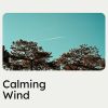 Download track Meditation With Nature, Pt. 1