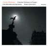 Download track Schumann: Violin Concerto, WoO 23 - II. Langsam