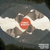 Download track Somewhere In The Early Morning Forest Mist