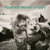 Download track Bist Du Dabei (Demo Version)