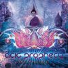 Download track Flowers Machine [Am - 145]