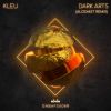 Download track Dark Arts (Alcemist Remix)