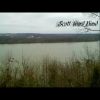 Download track Katydid