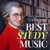Download track Symphony No. 38 In D Major, K. 504 Prague I. Adagio - Allegro