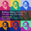 Download track Quartet For Piano, Clarinet, Violin & Cello In E-Flat Major, Op. 1: III. Andantino Un Poco Mosso