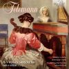 Download track Sonata No. 2 In D Major, TWV 41: D1: I. Allemanda, Largo