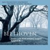 Download track 08 - Symphony No. 2, Op. 36 - I. Adagio