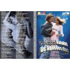 Download track Ding Dong, Las Cosas Del Amor