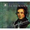 Download track 05. Symphony No. 3 E Flat Major Op. 97 - I. Lebhaft Vivace