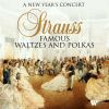 Download track Die Fledermaus: Ouvertüre