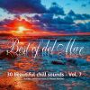 Download track Best Of Del Mar Vol. 7 - Continuous Mix