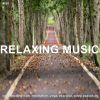 Download track Soothing Peace