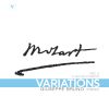 Download track Variations On 