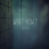 Download track What Now?