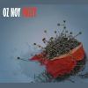 Download track Fuzzy