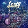 Download track Fallen Leaf