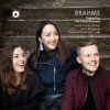 Download track Clarinet Trio In A Minor, Op. 114: IV. Allegro