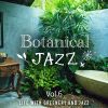 Download track Jazz Oasis In Nature