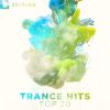 Download track True (Temple One Remix)