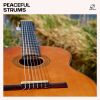Download track Serene Strings