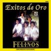 Download track Sabor A Mi