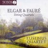 Download track String Quartet In E Minor, Op. 83- I. Allegro Moderato