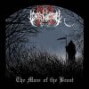 Download track Stellar Winds