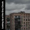 Download track Omnipresent Rain