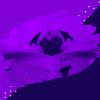 Download track Lively Backdrops For Relaxing Your Dog