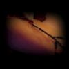 Download track Zombie Zoo