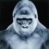 Download track Otherside