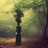 Download track Myth And Ritual