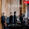 Download track 6. String Quintet No. 2 In G Major Op. 111 - II. Adagio