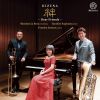 Download track 3 Romanzen Op. 94: II. Einfach, Innig