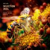 Download track Life Energy (Original Mix)