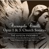 Download track 6. Sonata Da Chiesa A Tre In D Major No. 2 - II. Allegro