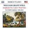 Download track 07. Symphony No. 2 In G Minor, Song Of A New Race III. Moderately Fast