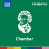 Download track String Quartet No. 1 In F Major, Op. 18 No. 1: II. Adagio Affettuoso Ed Appasionato