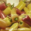 Download track Smooth Jazz Ballad Soundtrack For Family Meals